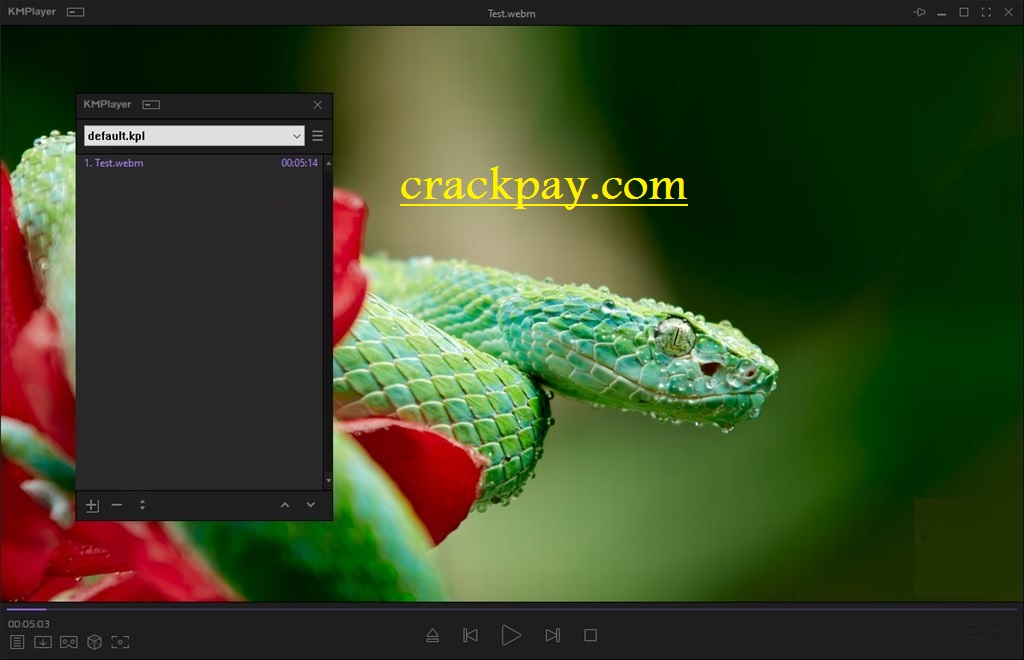 KMPlayer Torrent