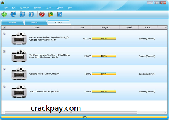 Bigasoft Video Downloader Pro License Key