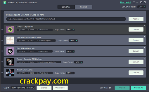 DRmare Spotify Music Converter License Key